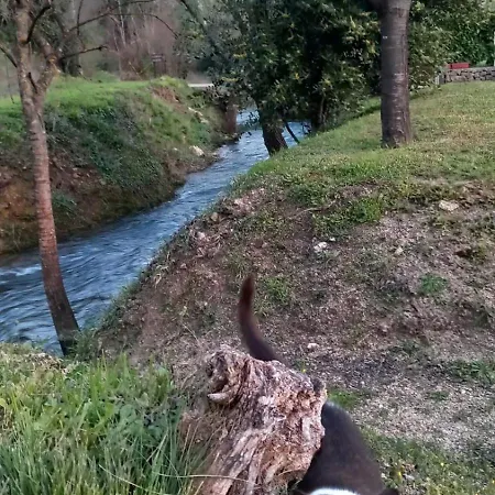 펜션 Kuca Za Odmor Buk *