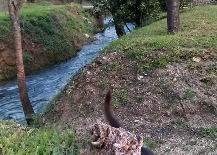 Nyaraló Kuca Za Odmor Buk *